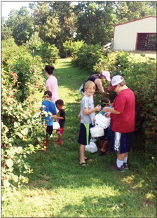 4-H Field Trip to Scatter Creek Berries