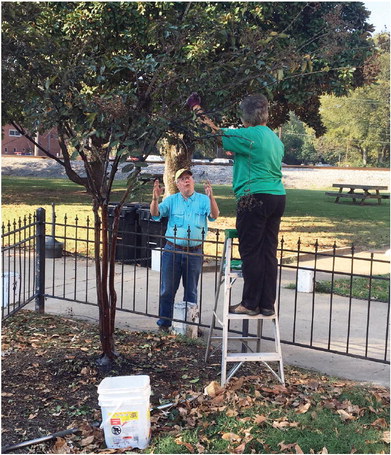 Master Gardeners keep  Crittenden County blooming