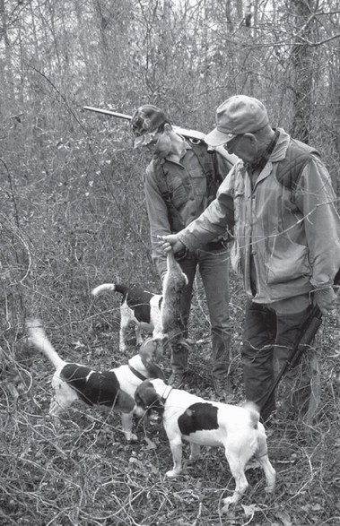 Colder weather heats up Arkansas’s Rabbit Season