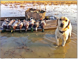 AGFC Northeast Arkansas Waterfowl Report