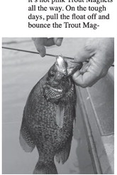 Northeast Arkansas  Fishing Report