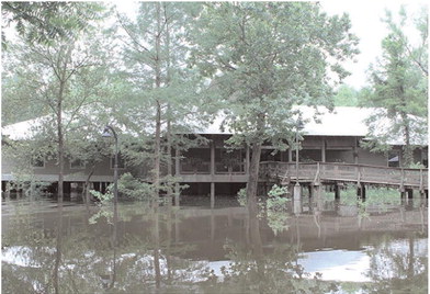 Delta Rivers Nature Center still recovering from flood