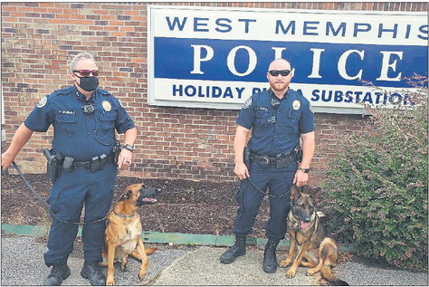 Local police dogs on the job